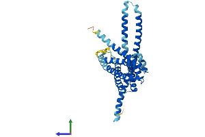 AlphaFold protein structure predicition of Human Recombinant TMEM120A Protein, UniprotID Q9BXJ8 (TMEM120A Protein (AA 1-343) (His tag))