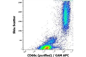 Flow cytometry surface staining pattern of human peripheral whole blood stained using anti-human CD66c (B6. (CEACAM6 antibody)