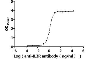 Measured by its binding ability in a functional ELISA.