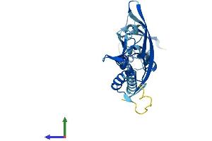 AlphaFold protein structure predicition of Human Recombinant KCTD21 Protein, UniprotID Q4G0X4