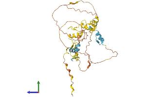 AlphaFold protein structure predicition of Human Recombinant SCRT1 Protein, UniprotID Q9BWW7 (SCRT1 Protein (AA 1-348) (His tag))