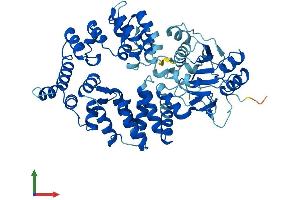 Protein Structure (PS) image for TROVE Domain Family, Member 2 (TROVE2) (AA 1-538) protein (His tag) (ABIN7562213)