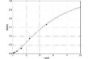A typical standard curve (CREB1 ELISA Kit)
