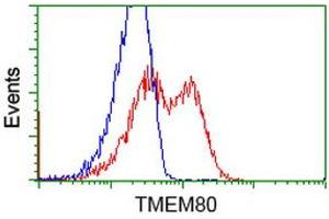 Flow Cytometry (FACS) image for anti-Transmembrane Protein 80 (TMEM80) antibody (ABIN1501442) (TMEM80 antibody)