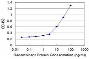 Detection limit for recombinant GST tagged ICOSLG is approximately 1ng/ml as a capture antibody. (ICOSLG antibody  (AA 20-302))