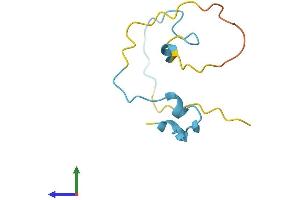 AlphaFold protein structure predicition of Human Recombinant SMPX Protein, UniprotID Q9UHP9 (SMPX Protein (AA 1-88) (Fc Tag))