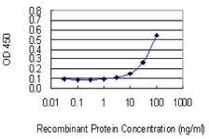 Detection limit for recombinant GST tagged POFUT1 is 3 ng/ml as a capture antibody. (POFUT1 antibody  (AA 85-194))