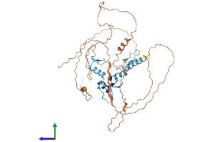 AlphaFold protein structure predicition of Human Recombinant WT1 Protein, UniprotID P19544 (WT1 Protein (AA 1-449) (His tag))