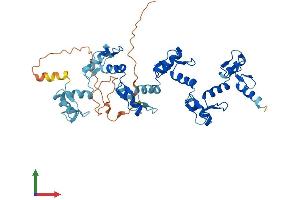 AlphaFold protein structure predicition of Human Recombinant ZNF491 Protein, UniprotID Q8N8L2