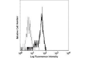 Image no. 1 for anti-CD33 (CD33) antibody (ABIN205425) (CD33 antibody)