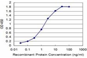 Detection limit for recombinant GST tagged ATP7B is approximately 0. (ATP7B antibody  (AA 1372-1465))