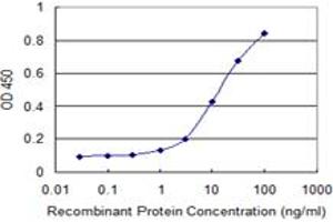 Detection limit for recombinant GST tagged SIGLEC12 is 0. (SIGLEC12 antibody  (AA 503-595))