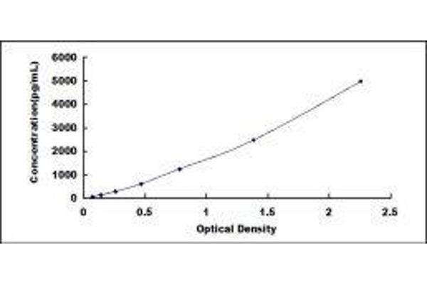 MMP12 ELISA Kit