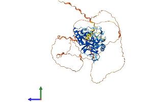 Protein Structure (PS) image for Prickle Homolog 3 (PRICKLE3) (AA 1-624) protein (His tag) (ABIN7558362)
