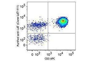 Flow Cytometry (FACS) image for anti-Linker For Activation of T Cells (LAT) antibody (ABIN2666079) (LAT antibody)