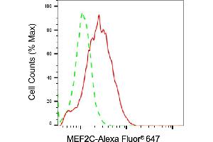Flow cytometric analysis of MEF2C expression in Raji cells using MEF2C antibody (ABIN7799516), 1:2,000). (MEF2C antibody)