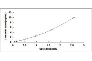 Typical standard curve (GREM1 ELISA Kit)