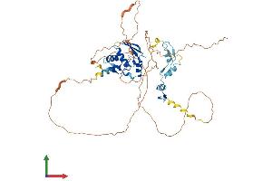 AlphaFold protein structure predicition of Human Recombinant ZBTB32 Protein, UniprotID Q9Y2Y4