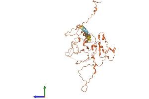 AlphaFold protein structure predicition of Human Recombinant FAM157B Protein, UniprotID P0CG42 (FAM157B Protein (AA 1-384) (His tag))