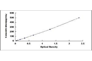 Typical standard curve (VGF ELISA Kit)