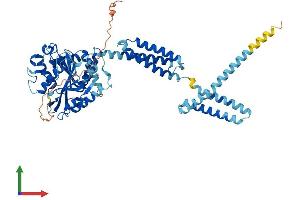 AlphaFold protein structure predicition of Mouse Recombinant Atl2 Protein, UniprotID Q6PA06