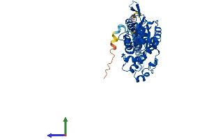 Protein Structure (PS) image for tyrosylprotein Sulfotransferase 2 (TPST2) (AA 1-376) protein (His tag) (ABIN7562677)