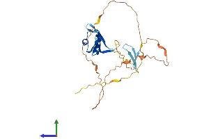 AlphaFold protein structure predicition of Human Recombinant BOLL Protein, UniprotID Q8N9W6