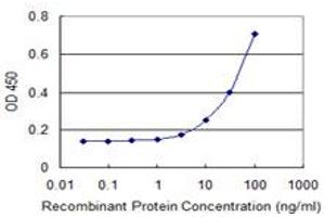 Detection limit for recombinant GST tagged GRINL1A is 1 ng/ml as a capture antibody. (POLR2M antibody  (AA 269-368))