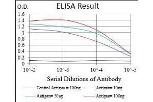 Black line: Control Antigen (100 ng), Purple line: Antigen(10 ng), Blue line: Antigen (50 ng), Red line: Antigen (100 ng), (CD200 antibody  (AA 56-257))