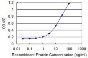 Detection limit for recombinant GST tagged FBN1 is 0. (Fibrillin 1 antibody  (AA 2772-2871))