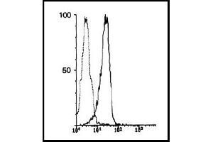 Flow Cytometry (FACS) image for anti-Carboxypeptidase M (CPM) antibody (ABIN786856) (CPM antibody)