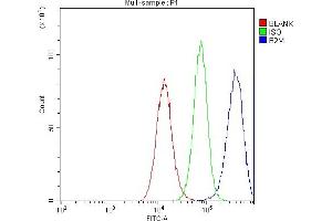 Flow Cytometry analysis of U251 cells using anti- Beta 2 Microglobulin antibody (ABIN5518810). (beta-2 Microglobulin antibody  (AA 22-119))