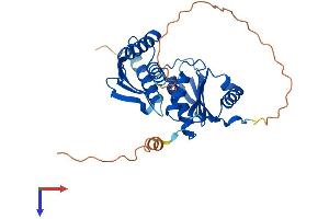 IMPACT Protein (AA 1-320) (His tag)