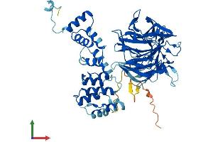 AlphaFold protein structure predicition of Human Recombinant KLHL33 Protein, UniprotID A6NCF5