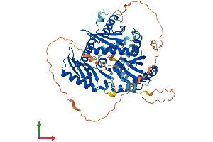 AlphaFold protein structure predicition of Mouse Recombinant Mon1b Protein, UniprotID Q8BMQ8 (MON1B Protein (AA 1-553) (His tag))