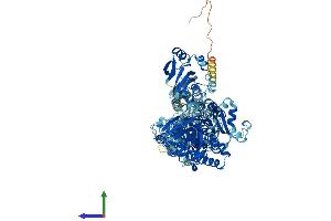 AlphaFold protein structure predicition of Human Recombinant ATP1A4 Protein, UniprotID Q13733