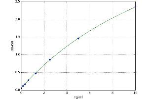 Complement Component 1, S Subcomponent (C1S) ELISA Kit