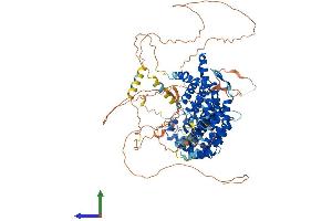 Protein Structure (PS) image for Protein Phosphatase 6, Regulatory Subunit 3 (PPP6R3) (AA 1-873) protein (His tag) (ABIN7555059)