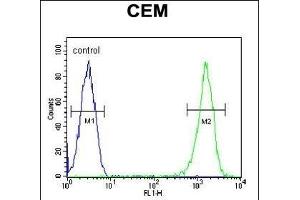 RCN3 Antibody (Center) (ABIN651973 and ABIN2840479) flow cytometric analysis of CEM cells (right histogram) compared to a negative control cell (left histogram). (RCN3 antibody  (AA 134-163))