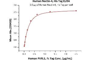 Immobilized Human Nectin-4, His Tag (ABIN6386454,ABIN6388277) at 5 μg/mL (100 μL/well) can bind Human PVRL1, Fc Tag with a linear range of 0. (PVRL4 Protein (AA 32-349) (His tag))