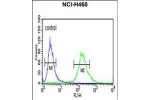 Flow cytometric analysis of NCI-H460 cells (right histogram) compared to a negative control cell (left histogram). (ALG14 antibody  (AA 67-93))