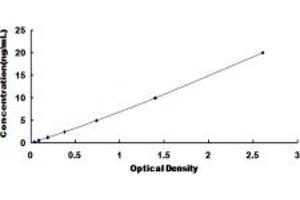 Typical standard curve (CDCP1 ELISA Kit)