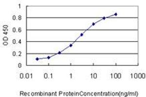 Detection limit for recombinant GST tagged HAMP is approximately 0. (Hepcidin antibody  (AA 25-84))
