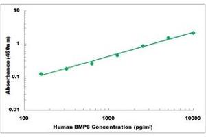 Representative Standard Curve (BMP6 ELISA Kit)