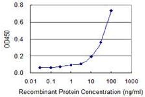 Detection limit for recombinant GST tagged GAL is 3 ng/ml as a capture antibody. (GAL antibody  (AA 1-123))