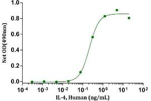 IL-4, Human stimulates cell proliferation of TF-1 cells. (IL-4 Protein (AA 25-153))