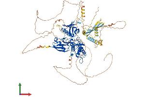 AlphaFold protein structure predicition of Human Recombinant EPB41 Protein, UniprotID P11171 (EPB41 Protein (AA 1-864) (His tag))