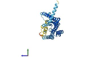 AlphaFold protein structure predicition of Human Recombinant OR5B17 Protein, UniprotID Q8NGF7 (OR5B17 Protein (AA 1-314) (His tag))