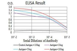 Fig. (ALDH6A1 antibody  (AA 1-195))