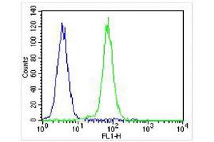 Overlay histogram showing K562 cells stained with (ABIN6242782 and ABIN6577130) (green line). (CDK5 antibody)